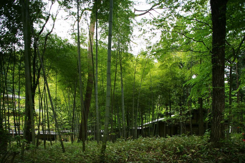 Sekizenkan Kashotei Sanso Nakanojo Esterno foto