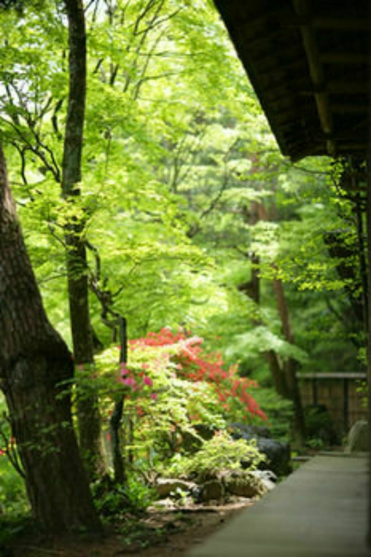 Sekizenkan Kashotei Sanso Nakanojo Esterno foto